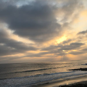 Meet your Posher, Ashni